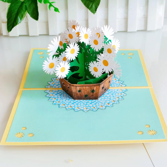 Best Wishes Pop Up Card | 3D Card | Greeting Card | White Daisies Bouquet