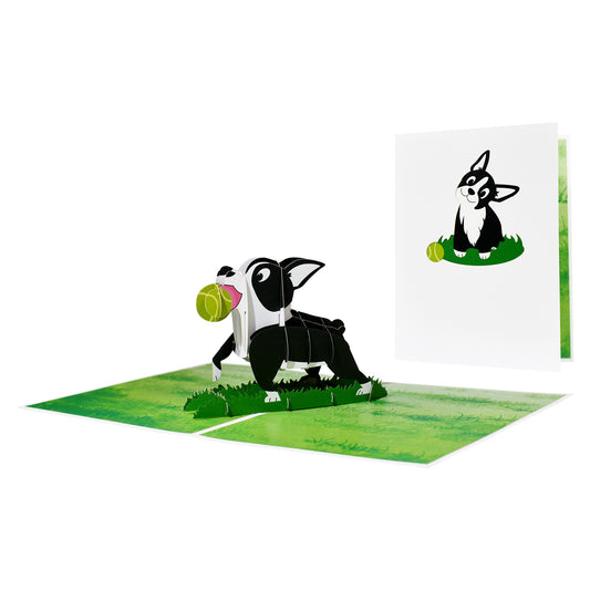 Boston Terrier Pop Up Card | 3D Card | Funny Greeting Card