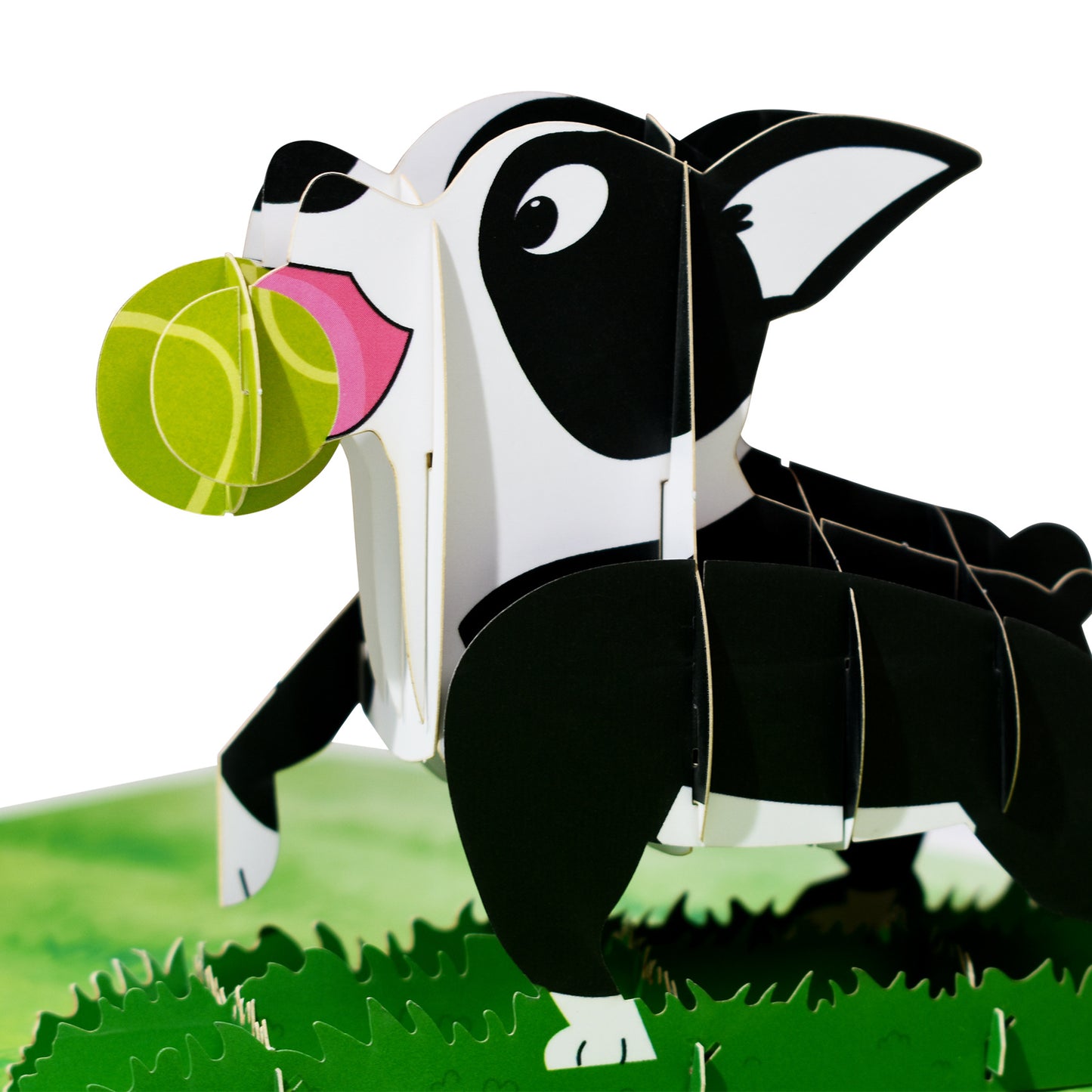 Boston Terrier Pop Up Card | 3D Card | Funny Greeting Card