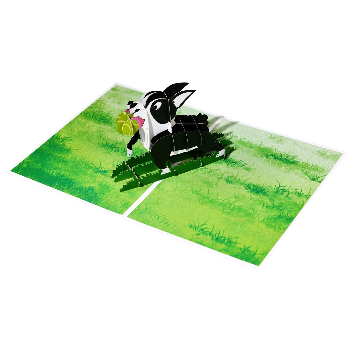 Boston Terrier Pop Up Card | 3D Card | Funny Greeting Card