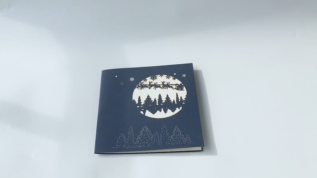 Christmas Card - Winter Night in the Forest