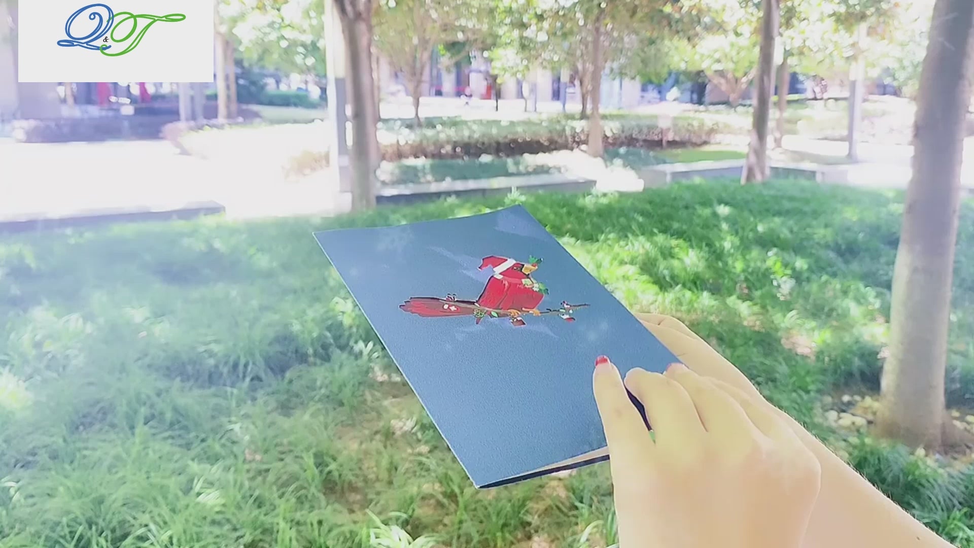 Red Robin Pop Up Card | Christmas Card | Xmas | 3D Card | Greeting Card | Mistletoe